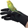 alfyng Bird Training Anti-Bite Parrot Chewing Protective Gloves, Small Animal Handling Gloves for Parrotlets Cockatiels Finch Macaw (1 Pair White) - Black