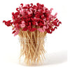 PARTYHIPPO Bamboo Cocktail Picks 200 Pack – Tropical Fruit Toothpicks 4.7 Inch Cocktail Sticks for Appetizers, Fruit, Cheese, Drinks, Party Supplies (Fruit) - Flamingo