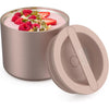 Bentgo Stainless Insulated Food Container - 2.4 Cups (19 oz), Triple-Layer Insulation, Vacuum Seal, Leak-Proof, Built-In Handle, Wide Opening, Premium Stainless Steel, for Cool/Warm Foods (Steel) - Rose Gold