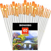 BOSOBO Paint Brushes Set, 2 Pack 20 Pcs Round-Pointed Tip Nylon Hair Artist Acrylic Paint Brushes for Acrylic Painting Oil Watercolor, Face Nail Art, Canvas, Miniature Detailing & Rock Painting, Blue - White