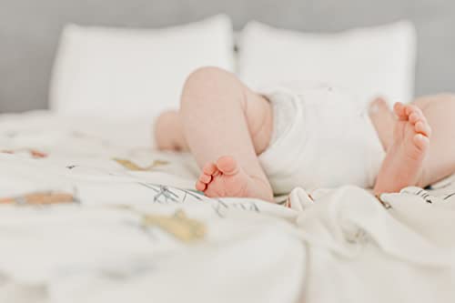 Buy now Copper Pearl Large Premium Knit Baby Swaddle Receiving Blanket Ace at indiglob india
