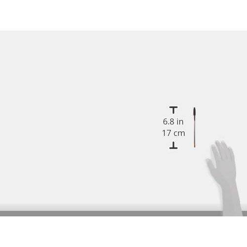 BIC Ballpoint Pen, 12 (5790) - My Store