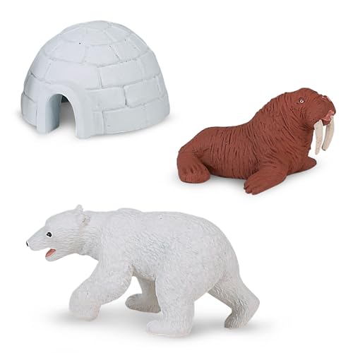 Buy now Safari Ltd Arctic TOOB With 10 Fun Figurines, Including A Harp Seal, Husky, Caribou, Arctic Rabbit, Killer Whale, Walrus, Arctic Fox, Beluga Whale, Igloo, And Polar Bear – For Ages 3 and Up at indiglob india