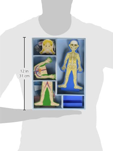 Buy now Melissa & Doug Magnetic Human Body Anatomy Play Set with 24 Magnetic Pieces and Storage Tray at indiglob india