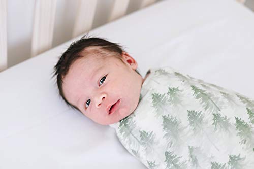 Buy now Copper Pearl Large Premium Knit Baby Swaddle Receiving Blanket Evergreen at indiglob india