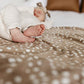 Buy now Copper Pearl Large Premium Knit Baby Swaddle Receiving Blanket Fawn at indiglob india