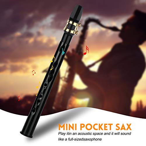 Buy now Pocket Saxophone Kit Mini Sax Portable Woodwind Instrument with Lid, Mouthpiece, Carrying Bag, Fingering Charts at indiglob india