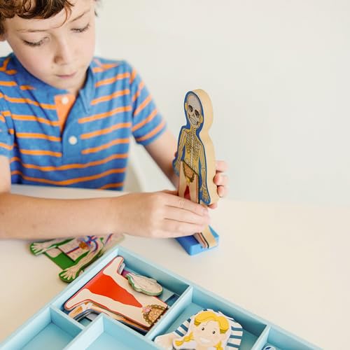 Buy now Melissa & Doug Magnetic Human Body Anatomy Play Set with 24 Magnetic Pieces and Storage Tray at indiglob india