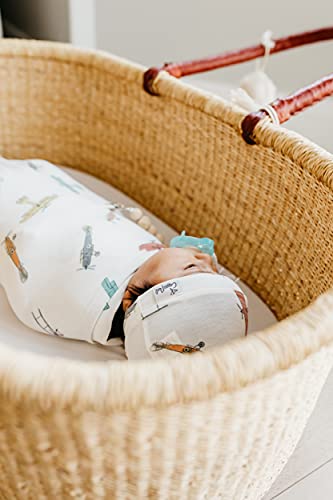 Buy now Copper Pearl Large Premium Knit Baby Swaddle Receiving Blanket Ace at indiglob india