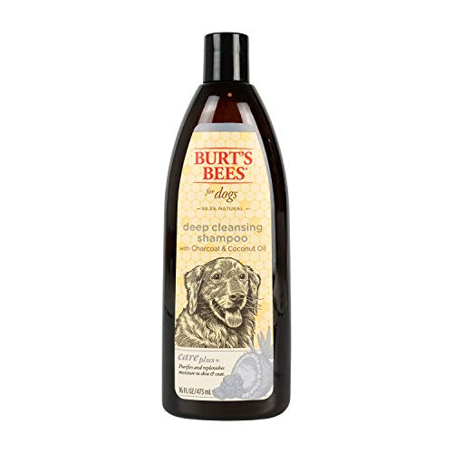 Buy now Burt's Bees for Pets Care Plus+ Naturally Derived Deep Cleansing Charcoal & Coconut Oil Shampoo - Dog Shampoo to Naturally Derivedly Purify and Replenish Dog's Skin & Coat - Made in USA, 16 Oz at indiglob india