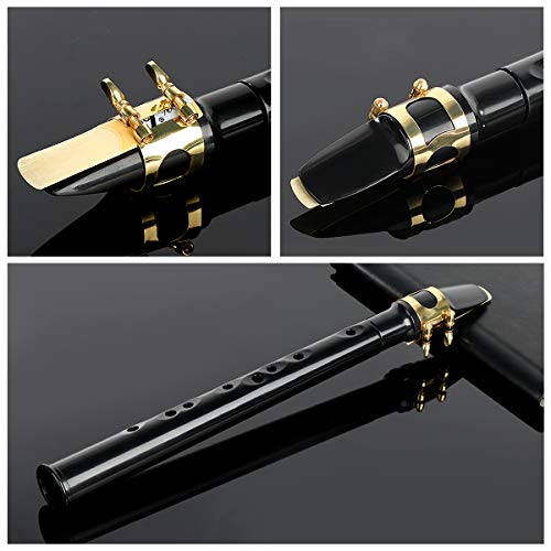 Buy now Pocket Saxophone Kit Mini Sax Portable Woodwind Instrument with Lid, Mouthpiece, Carrying Bag, Fingering Charts at indiglob india