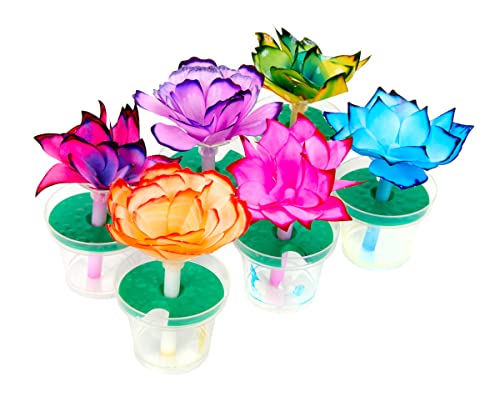 Buy now Crayola Paper Flower Science Kit, Color Changing Flowers, Gift for Kids Ages 7, 8, 9, 10 at indiglob india