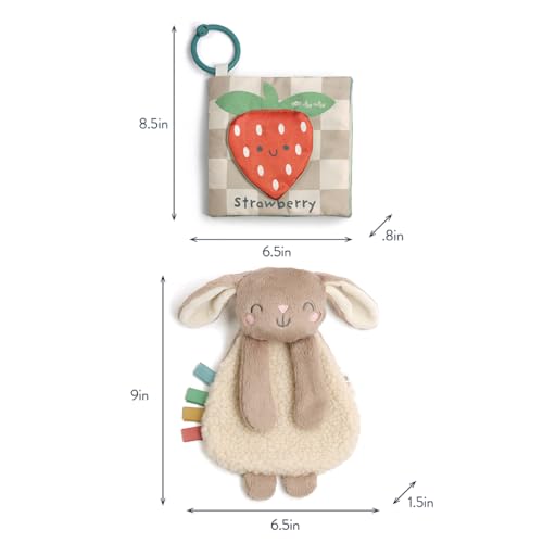Buy now Itzy Ritzy Bunny Lovey & Crinkle Book Gift Set - Learn & Snuggle Gift Set Includes Soft Sherpa Bunny Lovey & Soft Book with Flap, Textures & Crinkle Sounds (Bunny) at indiglob india