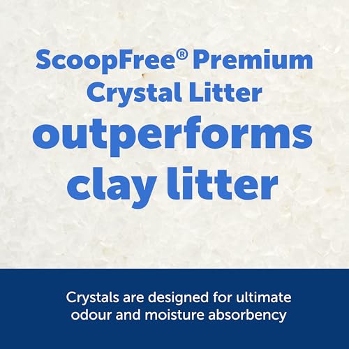 Buy now PetSafe ScoopFree Premium Natural Cat Litter - Eco-Friendly Long-Lasting Litter - High Absorbency & Low-Tracking Design - Non-Clumping Pebbles - 4.2 lb Bag - 2 Pack at indiglob india