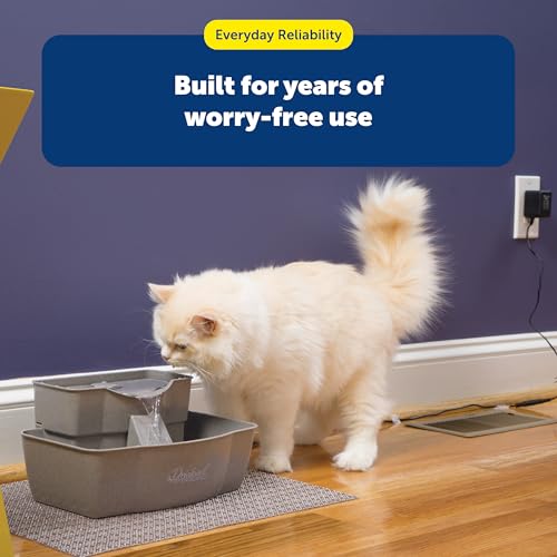 Buy now PetSafe Drinkwell Multi-Tier Pet Fountain - Encourages Hydration for Cats & Dogs - Large-Capacity Waterer - Double Tier - Filtered Fountain with Carbon Filter - 100 oz Water Capacity at indiglob india