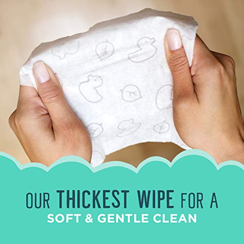 Buy now Seventh Generation Free & Clear Baby Wipes Refill Unscented and Sensitive Gentle as Water 64 count Pack of 12 (768 Total) at indiglob india