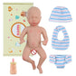 Buy now BABESIDE Miniature Reborn Baby Dolls Aurora - 6-in Full Platinum Silicone Reborn Baby Girl Realistic-Newborn Baby Doll Mini Sleeping Girl Real Life Baby Dolls with Feeding Kit & Gift Box at indiglob india