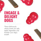 Buy now Kong - Ziggies Puppy - Teeth Cleaning Dog Treats - Small (Best Used with Kong Puppy Rubber Toys) at indiglob india