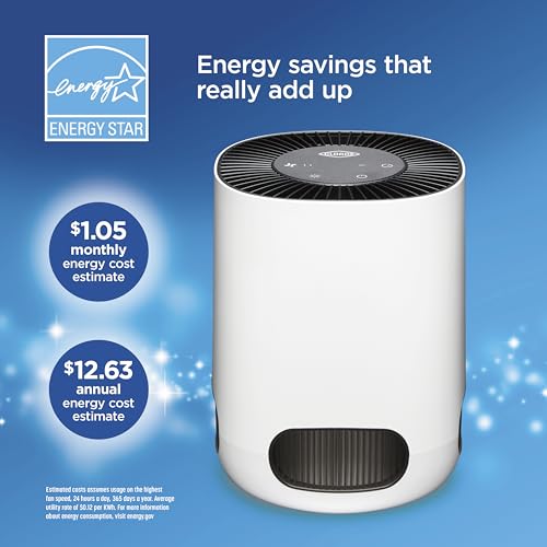 Buy now Clorox Air Purifiers for Bedroom Home, True HEPA Filter, Small Rooms Up to 200 Sq Ft, Removes 99.9% of Mold, Viruses, Wildfire Smoke, Allergens, Pet Allergies, Dust, AUTO Mode, Whisper Quiet at indiglob india