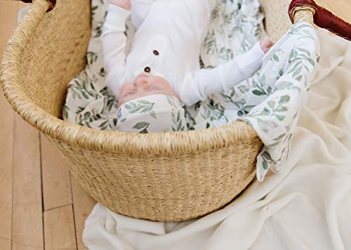 Buy now Copper Pearl Large Premium Knit Baby Swaddle Receiving Blanket Fern at indiglob india