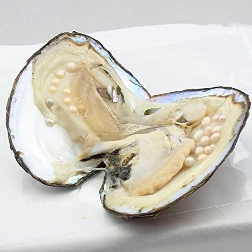 Buy now NeuFashion Big Oyster Pearl Party Pearl Freshwater Cultured Oval Pearl Beads (5-7mm 28 PCs/Lot) Oysters with Pearl Inside Anniversary Gifts for Women at indiglob india