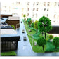 32pcs 0.79-6.30inch Mixed Model Trees Accessories Model Train Scenery Architecture Trees Model Scenery with No Stands(All Green)