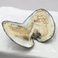 Buy now NeuFashion Big Oyster Pearl Party Pearl Freshwater Cultured Oval Pearl Beads (5-7mm 28 PCs/Lot) Oysters with Pearl Inside Anniversary Gifts for Women at indiglob india