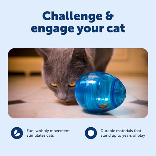 Buy now PetSafe FUNkitty Egg-Cersizer - Cat Toy - Slow-Feeder for Cats to Slow Down & Reduce Aggressive Eating - Durable Multi-Functional Enrichment Toy for Improved Digestion & Exercise at indiglob india