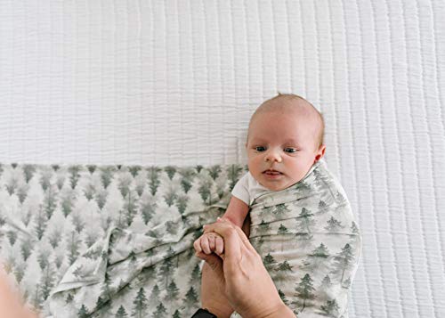 Buy now Copper Pearl Large Premium Knit Baby Swaddle Receiving Blanket Evergreen at indiglob india