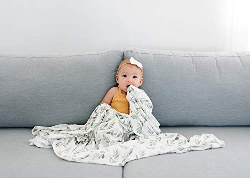 Buy now Copper Pearl Large Premium Knit Baby Swaddle Receiving Blanket Fern at indiglob india