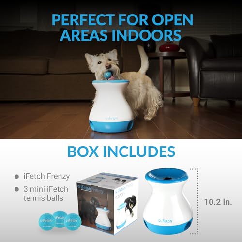 Buy now iFetch Frenzy Interactive Dog Toy, Self Fetch Mini Tennis Ball Machine for Small and Medium Dogs, Includes 3 Tennis Balls, Mental Stimulation Brain Game at indiglob india