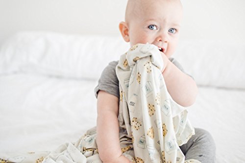 Buy now Copper Pearl Large Premium Knit Baby Swaddle Receiving Blanket Chip at indiglob india