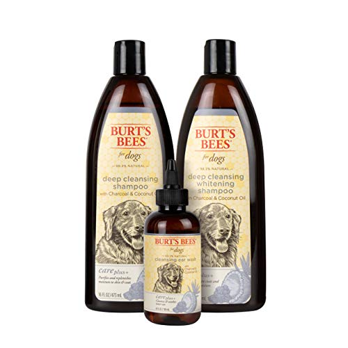 Buy now Burt's Bees for Pets Care Plus+ Naturally Derived Deep Cleansing Charcoal & Coconut Oil Shampoo - Dog Shampoo to Naturally Derivedly Purify and Replenish Dog's Skin & Coat - Made in USA, 16 Oz at indiglob india