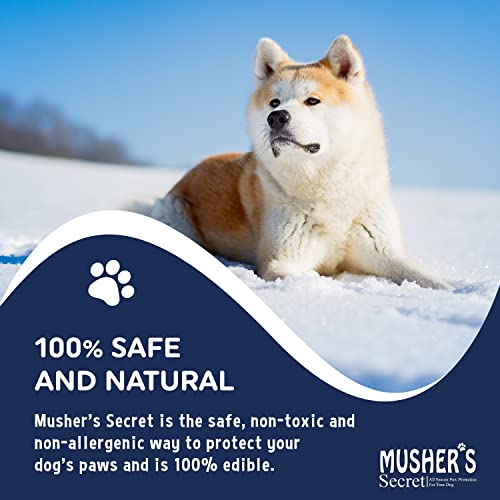 Buy now Musher’s Secret Dog Paw Wax 200g – Natural Paw Balm for Dogs with Vitamin E – Helps Protect Paws from Hot Pavement, Ice & Salt – Moisturizes Cracked Pads – Lick-Safe, Non-Toxic Dog Paw Protector at indiglob india