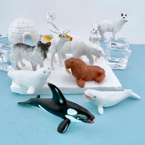 Buy now Safari Ltd Arctic TOOB With 10 Fun Figurines, Including A Harp Seal, Husky, Caribou, Arctic Rabbit, Killer Whale, Walrus, Arctic Fox, Beluga Whale, Igloo, And Polar Bear – For Ages 3 and Up at indiglob india