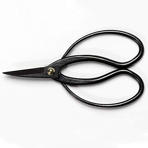 Buy now Wazakura Bonsai Scissors MADE IN JAPAN 7inch(180mm), Japanese Bonsai Garden Tools, Hasami Pruning Shears at indiglob india