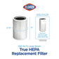 Buy now Clorox Large Room Air Purifier True HEPA Replacement Filter, 1,500 Sq. Ft. Capacity, Removes 99.97% of Allergens up to 0.1 Micron, Compatible with 11010 & 11011, 1 Count (12010) at indiglob india
