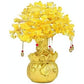 Feng Shui Citrine/Yellow Crytal Money Tree with Chinese Dragon Pots