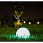 Chuckit! Glow in the Dark Bouncy Ball for Dogs, Chuckit Dog Toy, Max Glow Balls - Large, 3 Inch, Pack of 1