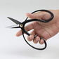 Buy now Wazakura Bonsai Scissors MADE IN JAPAN 7inch(180mm), Japanese Bonsai Garden Tools, Hasami Pruning Shears at indiglob india