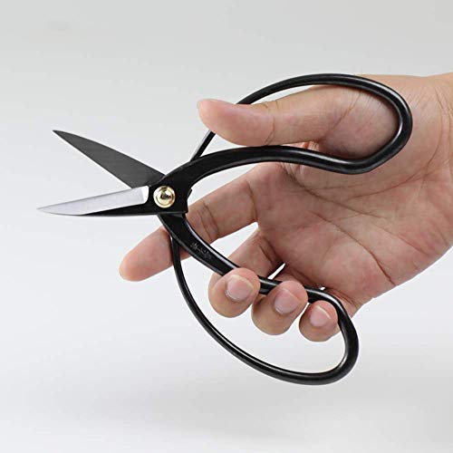 Buy now Wazakura Bonsai Scissors MADE IN JAPAN 7inch(180mm), Japanese Bonsai Garden Tools, Hasami Pruning Shears at indiglob india
