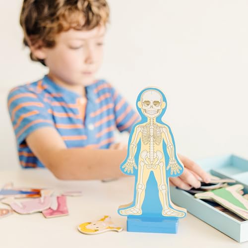 Buy now Melissa & Doug Magnetic Human Body Anatomy Play Set with 24 Magnetic Pieces and Storage Tray at indiglob india