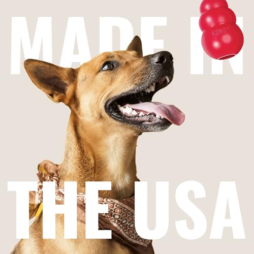 Buy now Kong - Ziggies Puppy - Teeth Cleaning Dog Treats - Small (Best Used with Kong Puppy Rubber Toys) at indiglob india