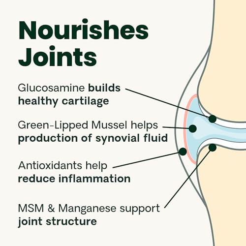 Buy now VetriScience Healthy Hip & Joint Chews, GlycoFlex Glucosamine and Green-Lipped Mussel Joint Support Supplement for Cats, Promote Mobility and Protect Joints, Chicken, 60 Count at indiglob india