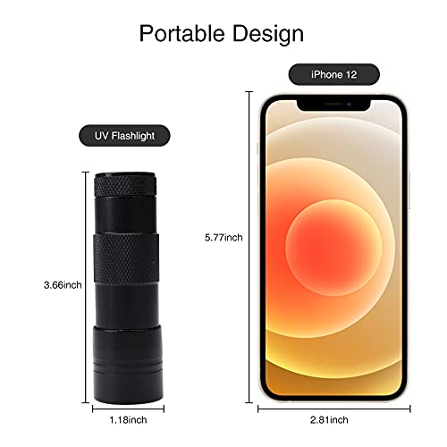 Buy now SEVENKA Black Light Flashlight, 2 Pack 12 LED UV Blacklight Flashlight, 395nm Handheld Mini Torch Light, Professional Urine Detector for Dog Pet Urine Stains, Bed Bugs and Scorpions. at indiglob india