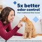 Buy now PetSafe ScoopFree Disposable Crystal Cat Litter Tray - Easy Cleaning Box - Refill Tray for Electric Litter Box - Fragrance Free - 4.3 lb Bags - 6 Pack at indiglob india