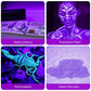 Buy now SEVENKA Black Light Flashlight, 2 Pack 12 LED UV Blacklight Flashlight, 395nm Handheld Mini Torch Light, Professional Urine Detector for Dog Pet Urine Stains, Bed Bugs and Scorpions. at indiglob india