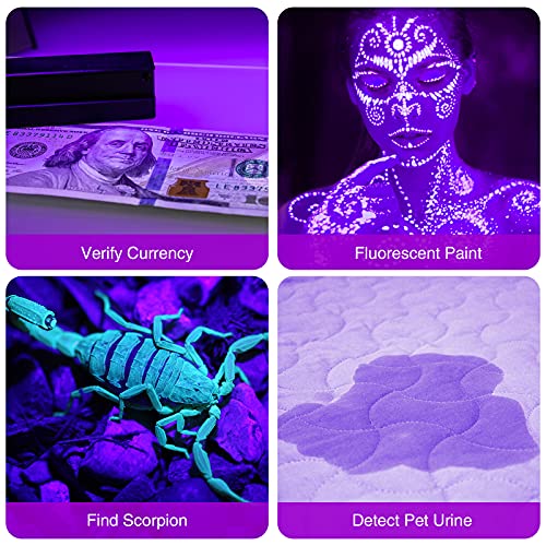 Buy now SEVENKA Black Light Flashlight, 2 Pack 12 LED UV Blacklight Flashlight, 395nm Handheld Mini Torch Light, Professional Urine Detector for Dog Pet Urine Stains, Bed Bugs and Scorpions. at indiglob india