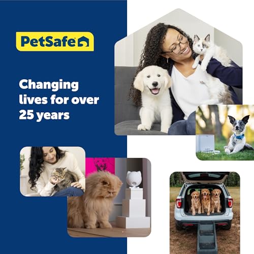 Buy now PetSafe FUNkitty Egg-Cersizer - Cat Toy - Slow-Feeder for Cats to Slow Down & Reduce Aggressive Eating - Durable Multi-Functional Enrichment Toy for Improved Digestion & Exercise at indiglob india