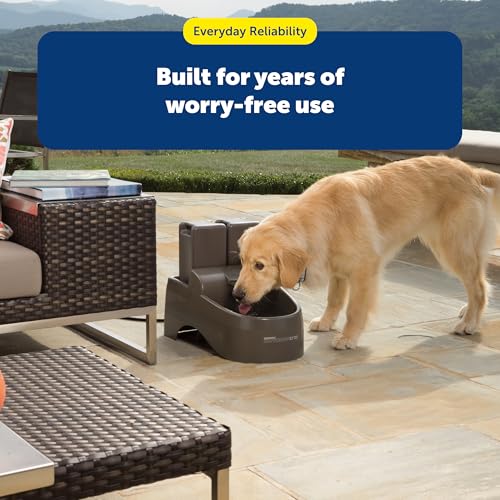 Buy now PetSafe Drinkwell Replacement Filter Pack for Outdoor Dog Water Fountain, 3 Carbon Filters & 1 Foam Filter at indiglob india